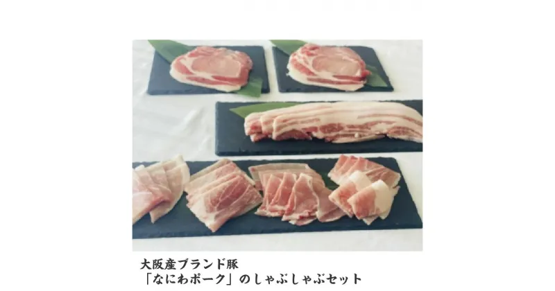 【ふるさと納税】大阪産ブランド豚「なにわポーク（大阪梅ポーク）」のサムギョプサル焼き肉セット 【豚肉 国産 食べ比べセット 焼肉 サムギョプサル 冷凍 韓国焼肉】