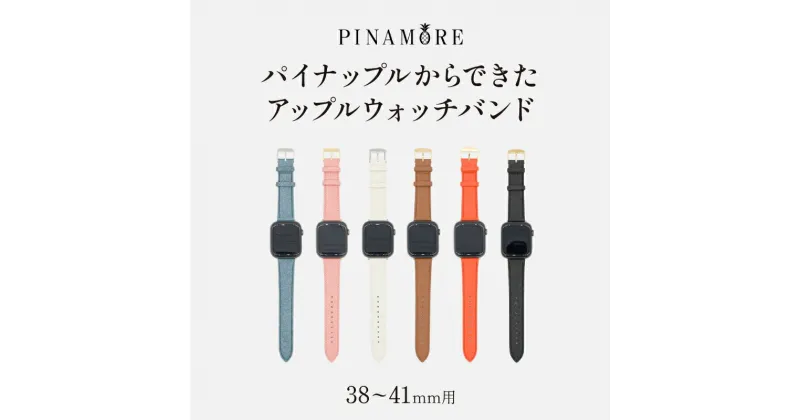 【ふるさと納税】 【PINAMORE】 パイナップルからできたアップルウォッチバンド 【38-41mm用】 【6色展開】