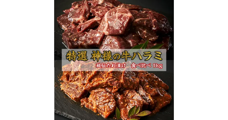 【ふるさと納税】 特選神様の牛ハラミ(秘伝たれ漬け)食べ比べ1kg 【 希少 牛肉 ハラミ サガリ おすすめ 秘伝だれ 焼肉だれ こってり 塩だれ あっさり 500g 2パック 特選 肉 焼肉 バーベキュー ギフト お祝い お肉の神様 】