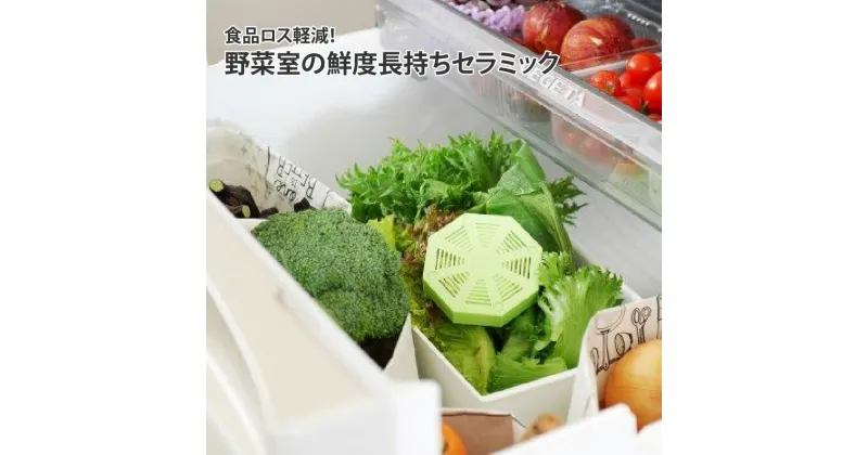 【ふるさと納税】食品ロス軽減！野菜室の鮮度長持ちセラミック