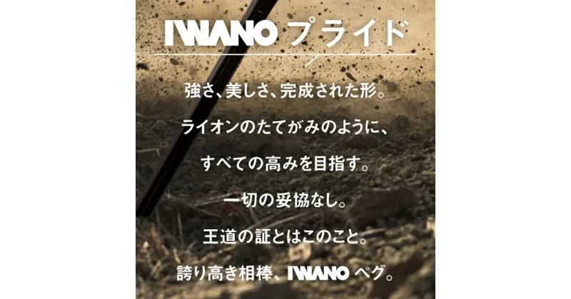 【ふるさと納税】IWANOペグ 8本セット