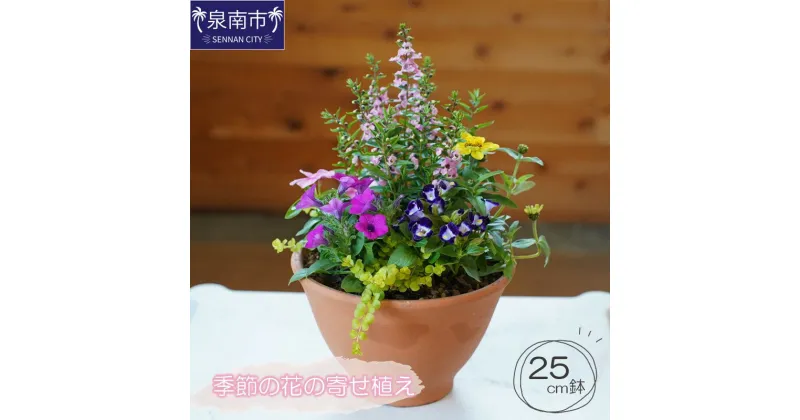 【ふるさと納税】季節の花の寄せ植え 25cm鉢 寄せ植え 植物 生花 花 お花 はな 鉢植え 季節 贈答 鑑賞用 フラワーギフト