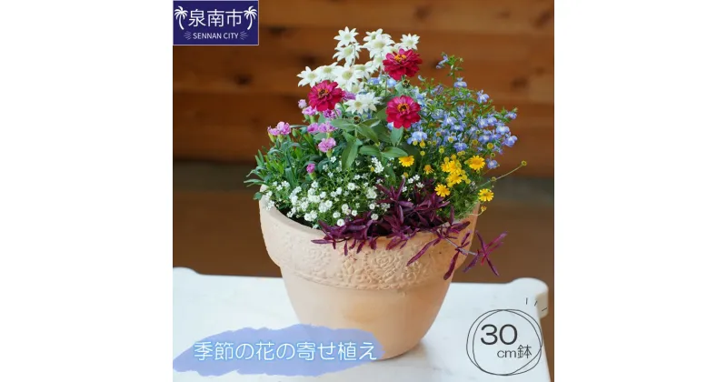 【ふるさと納税】季節の花の寄せ植え 30cm 寄せ植え 植物 生花 花 お花 はな 鉢植え 季節 贈答 鑑賞用