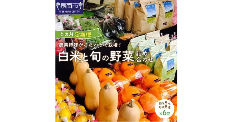 【ふるさと納税】農業姉妹がこだわって栽培！ 白米5kgと旬の野菜詰め合わせ8種 半年コース 定期便 野菜 米 旬 季節 詰め合わせ セット