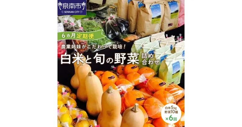 【ふるさと納税】農業姉妹がこだわって栽培！ 白米5kgと旬の野菜10種 半年定期便 定期便 毎月 野菜 米 旬 季節 詰め合わせ セット