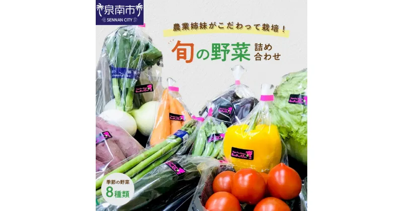 【ふるさと納税】農業姉妹がこだわって栽培！西洋野菜が入った旬の野菜詰め合わせ8種類 野菜 旬 季節 詰め合わせ セット