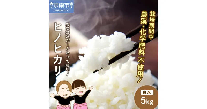 【ふるさと納税】農業姉妹がこだわって栽培！ヒノヒカリ 白米5kg 米 こめ ひのひかり ブランド米 5キロ 白米 ご飯