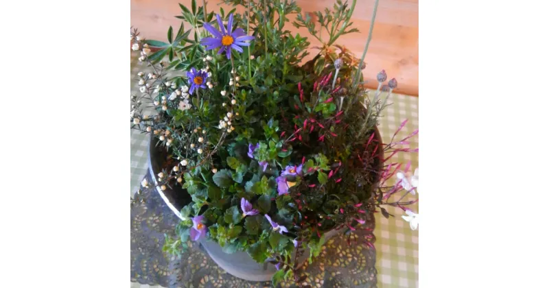 【ふるさと納税】季節の花の寄せ植え 35cm ピック付き