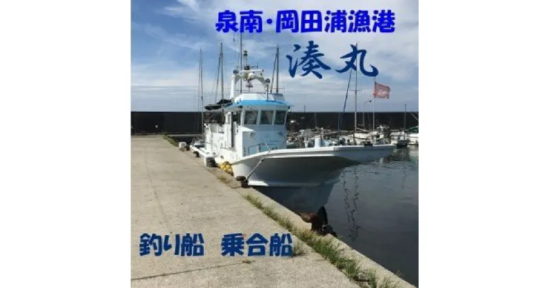 【ふるさと納税】【泉南・岡田浦漁港】釣り船 湊丸 午前便・午後便 1名様