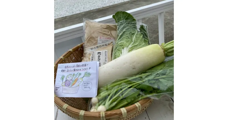 【ふるさと納税】野菜がおいしく漬かる糠漬けセット 100サイズ箱