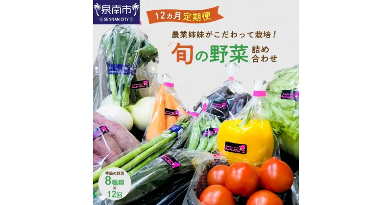 【ふるさと納税】農業姉妹がこだわって栽培！旬の野菜詰め合わせ8種 1年定期便 野菜 旬 季節 詰め合わせ セット 定期便