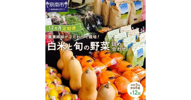 【ふるさと納税】農業姉妹がこだわって栽培！ 白米5kgと旬の野菜詰め合わせ8種 1年定期便 野菜 米 旬 季節 詰め合わせ セット