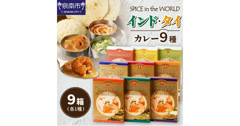 【ふるさと納税】SPICE IN THE WORLD インド・タイカレー 9種セット カレー レトルトカレー