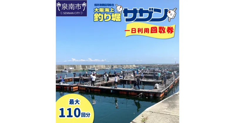 【ふるさと納税】【泉南・樽井漁港】釣掘りサザン 一日利用回数券