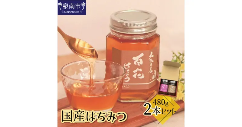 【ふるさと納税】国産はちみつ480g 2本セット 蜂蜜 国産 ヤマザクラ 百花蜜 さくら蜂蜜 ギフト 贈り物 セット 詰め合わせ【配送不可地域：北海道・沖縄県・離島】