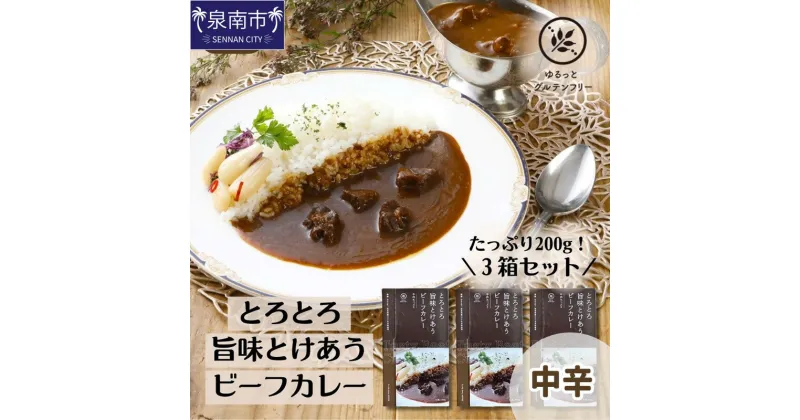 【ふるさと納税】ゆるっとグルテンフリー とろとろ旨味とけあう ビーフカレー3食セット カレー レトルトカレー ビーフカレー 3食 中辛 ふるさと納税 カレー お歳暮