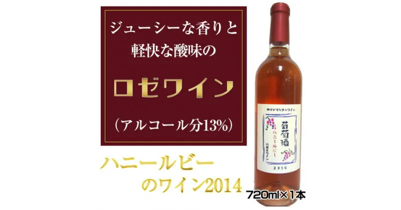 【ふるさと納税】No.034 ハニールビーのワイン2014　720ml×1本 ／ お酒 平成28年度全国果樹・技術経営コンクール農林水産大臣賞受賞 アルコール 送料無料 大阪府