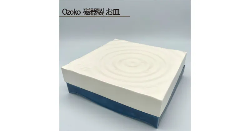 【ふるさと納税】No.206 Ozoko 磁器製 お皿 ／ 食器 プレート 鋳込技法 手作り 送料無料 大阪府