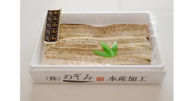 【ふるさと納税】のぞみ白焼はも 500g【2024年5月上旬以降お届け予定】大阪府 阪南市 送料無料