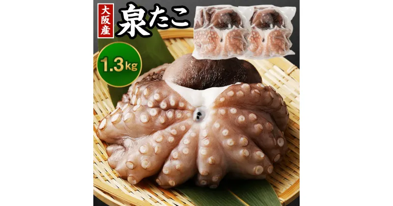 【ふるさと納税】大阪産 泉タコ 生たこ 1.3kg タコ 蛸 生ダコ たこ焼き 唐揚げ タコ刺し 刺し身 お取り寄せ ギフト 贈答用 プレゼント 送料無料