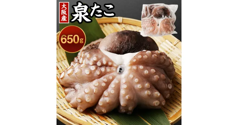 【ふるさと納税】大阪産 泉タコ 生たこ 650g タコ 蛸 生ダコ たこ焼き 唐揚げ タコ刺し 刺し身 お取り寄せ ギフト 贈答用 プレゼント 送料無料