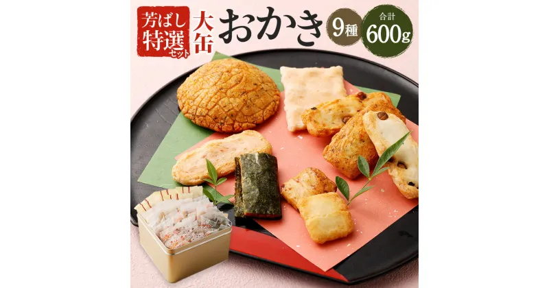 【ふるさと納税】芳ばし 特選セット 大缶 おかき 9種 600g 辻茂製菓 大阪府 阪南市 送料無料