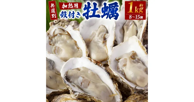 【ふるさと納税】【無選別】加熱用 殻付き牡蠣 1kg （8～15個）【2024年12月下旬～2025年3月下旬発送】| 牡蠣 かき カキ 殻付き 加熱用 調理用 焼き牡蠣 蒸し牡蠣 牡蠣鍋 カキフライ 牡蠣の酒蒸し 魚介 海鮮 BBQ バーベキュー 国産 冷蔵 大阪府 阪南市 送料無料