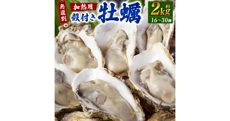 【ふるさと納税】【無選別】加熱用 殻付き牡蠣 約2kg （16～30個） 【2024年12月下旬～2025年3月下旬発送】 | 牡蠣 かき カキ 殻付き 加熱用 調理用 焼き牡蠣 蒸し牡蠣 牡蠣鍋 カキフライ 牡蠣の酒蒸し 魚介 海鮮 BBQ バーベキュー 国産 冷蔵 大阪府 阪南市 送料無料