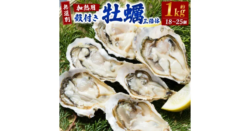 【ふるさと納税】【無選別】加熱用 殻付き牡蠣 約1kg （18～25個） 三倍体 ｜ 牡蠣 かき カキ 殻付き 加熱用 調理用 焼き牡蠣 蒸し牡蠣 牡蠣鍋 カキフライ 牡蠣の酒蒸し 魚介 海鮮 BBQ バーベキュー 国産 大阪府 阪南市 送料無料