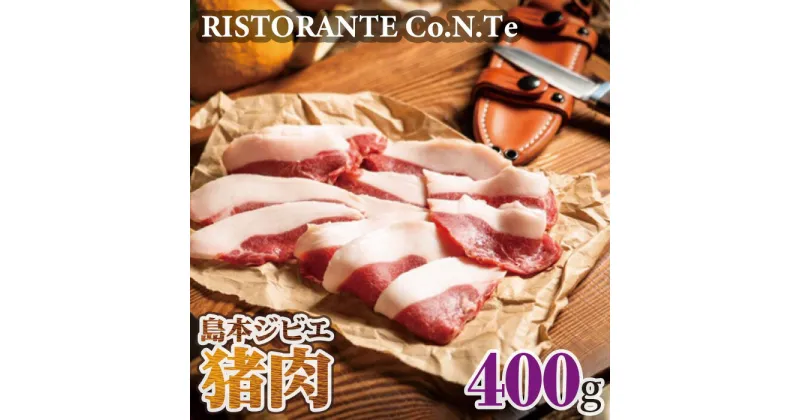 【ふるさと納税】No.038 島本ジビエ「猪肉」約400g ／ 狩猟肉 イノシシ肉 スライス 送料無料 大阪府 特産品