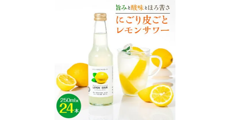 【ふるさと納税】＜旨みと酸味とほろ苦さ＞にごり皮ごとレモンサワー　250ml×24本【1245075】