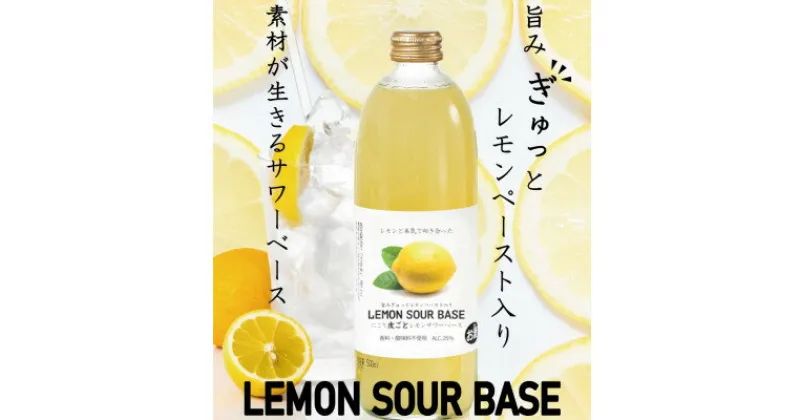 【ふるさと納税】にごり皮ごとレモンサワーベース ～あなただけのオリジナルサワーを～ 500ml×12本【1285250】