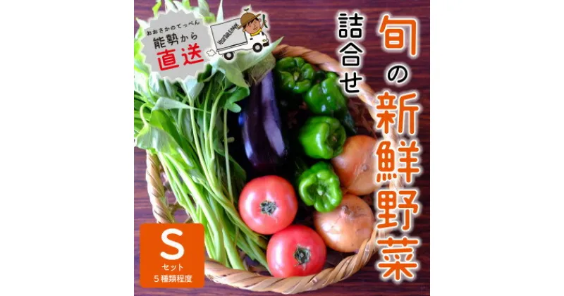 【ふるさと納税】『大阪能勢産』　農家直送!べじたぶるぱーくの旬の新鮮野菜詰合せ　Sセット(5種類)　【配送不可地域：離島】【1509066】