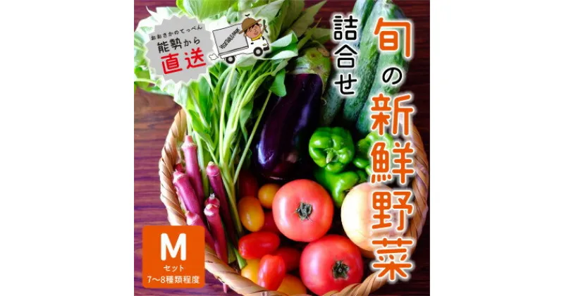 【ふるさと納税】『大阪能勢産』　農家直送!べじたぶるぱーくの旬の新鮮野菜詰合せ　Mセット(7～8種類)　【配送不可地域：離島】【1509078】