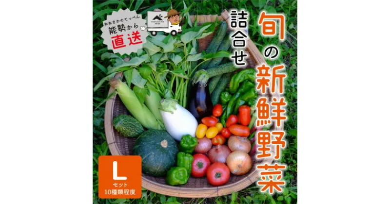 【ふるさと納税】『大阪能勢産』　農家直送!べじたぶるぱーくの旬の新鮮野菜詰合せ　Lセット(10種類)　【配送不可地域：離島】【1509097】