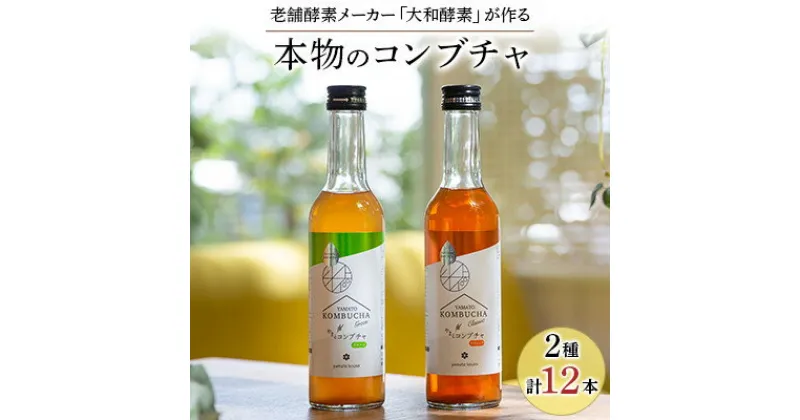 【ふるさと納税】老舗酵素メーカー「大和酵素」が作る、 “本物のコンブチャ”　(280ml×12本)【1125094】