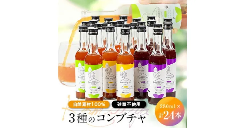 【ふるさと納税】砂糖を使わず「アガベ」で発酵させた「自然素材100%」の3種のコンブチャ　(280ml×24本)【1312546】