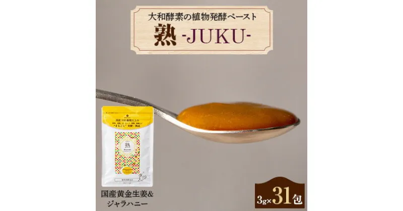 【ふるさと納税】大和酵素の植物発酵ペースト 熟 -JUKU- 国産黄金生姜&ジャラハニー 1袋(3g×31包)【1365045】