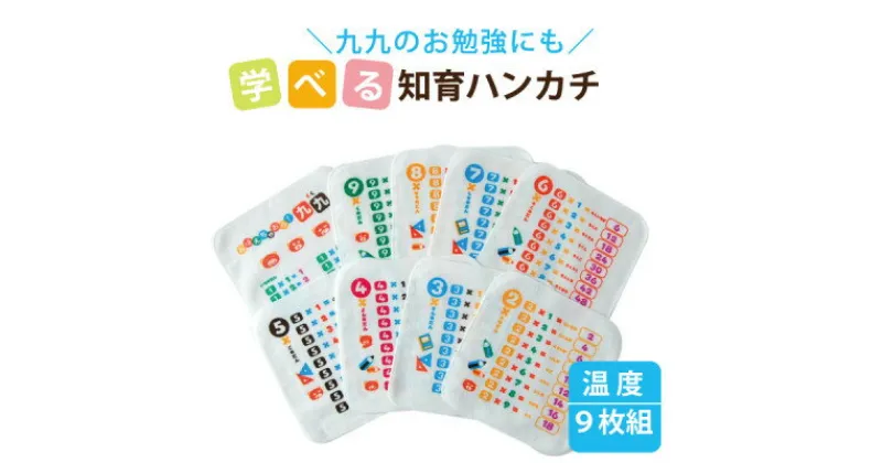 【ふるさと納税】水をかけると文字が浮き出る!不思議なタオルハンカチ 9枚組(温度)【1427128】