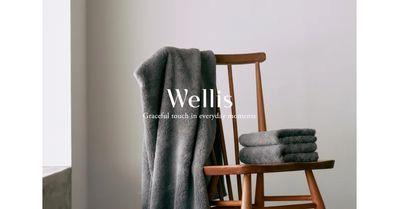 【ふるさと納税】Wellis フルセット(009_5034)