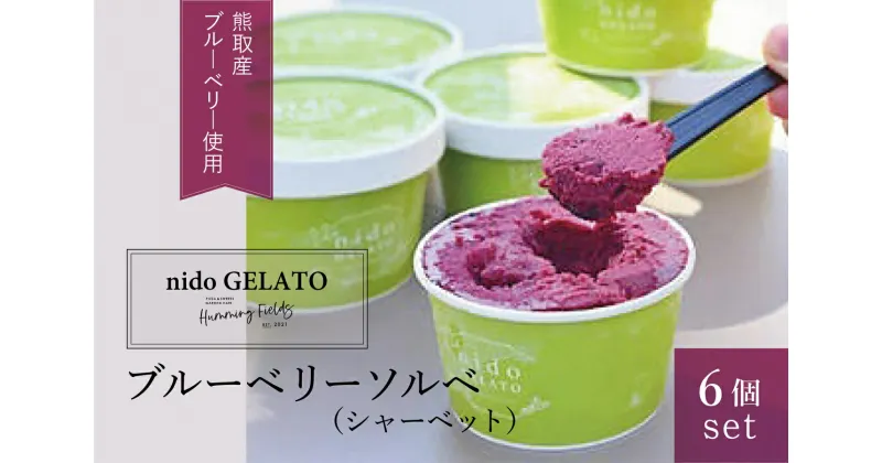 【ふるさと納税】ブルーベリーソルベ「Nido GELATO」(6個)【Humming Fields】（025_5001）