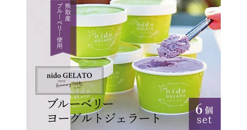 【ふるさと納税】ブルーベリーヨーグルトジェラート「Nido GELATO」(6個)【Humming Fields】（025_5002）