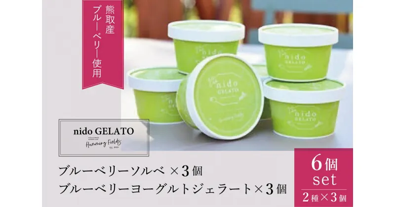 【ふるさと納税】ソルベ＆ジェラート「Nido GELATO」(2種 計6個)【Humming Fields】（025_5003）