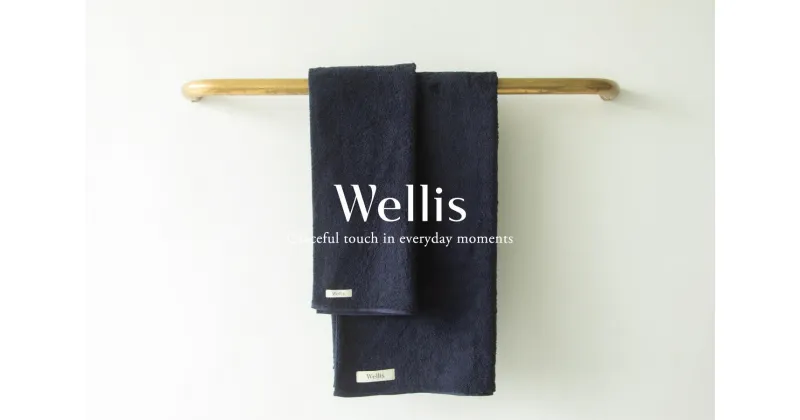 【ふるさと納税】Wellis ウォッシュタオル ネイビー 2枚（009_5122）