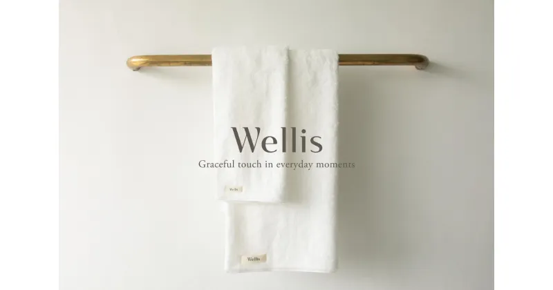 【ふるさと納税】Wellis フルセット ナチュラルホワイト （009_5034_01）