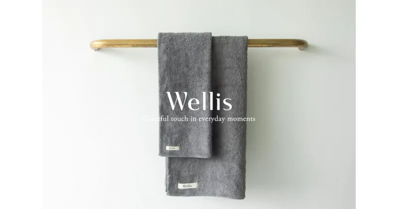 【ふるさと納税】Wellis フルセット グレー （009_5034_02）