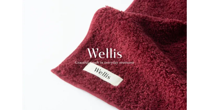 【ふるさと納税】Wellis フルセット ボルドー（009_5034_04）