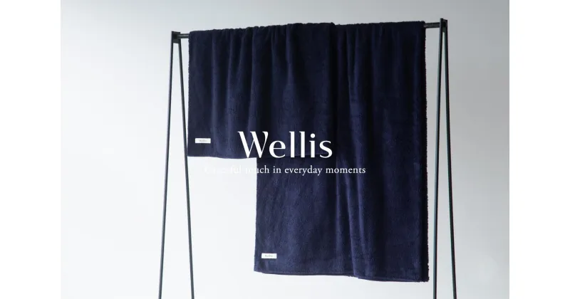 【ふるさと納税】Wellis ブランケット2枚セット ネイビー（009_5045_03）