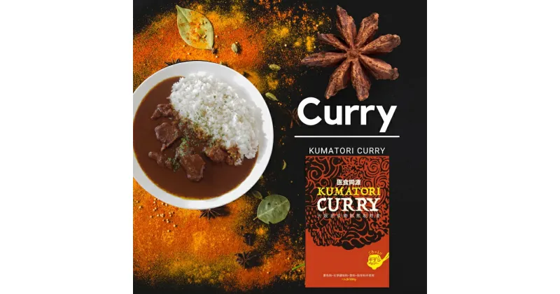 【ふるさと納税】KUMATORI CURRY（牛すじ）10個（021_5004）