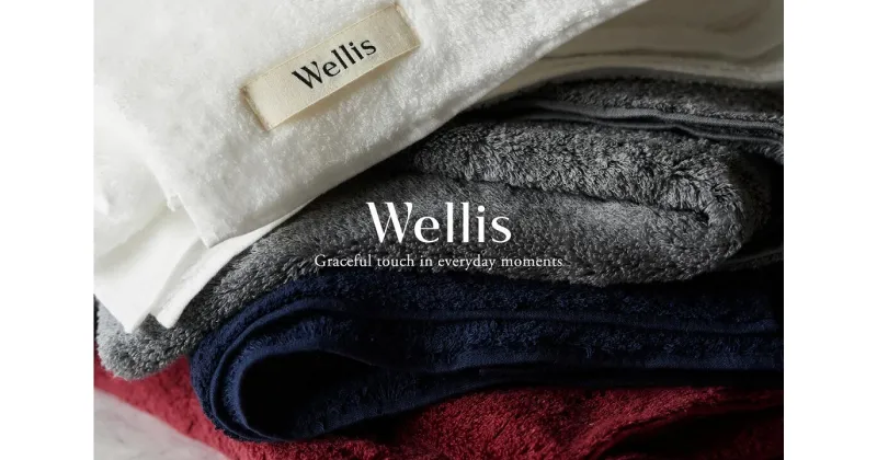 【ふるさと納税】Wellis　フルセット　ランドリーバッグ付き　（009_5136）